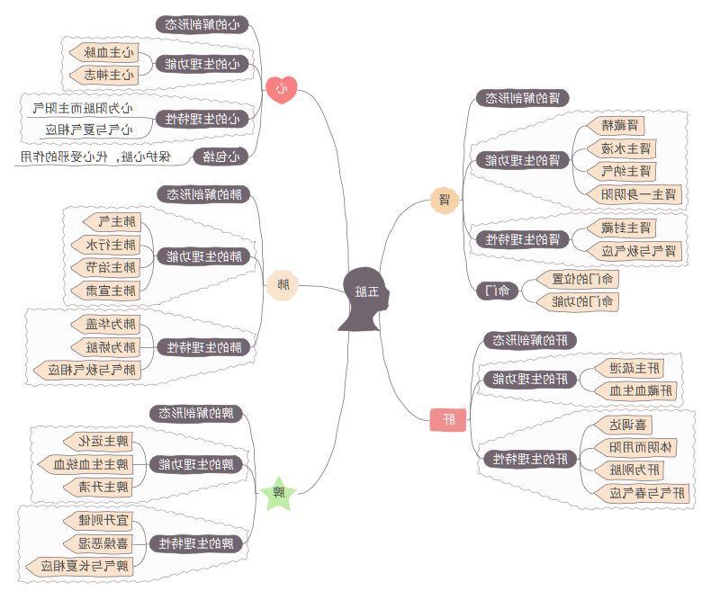 五脏思维导图