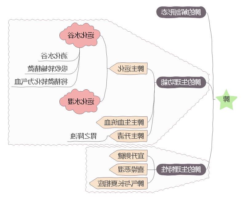 五脏思维导图