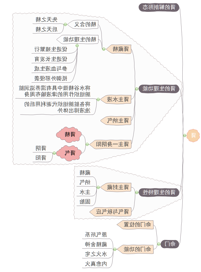 五脏思维导图