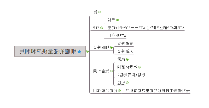 生物必修一思维导图第五章