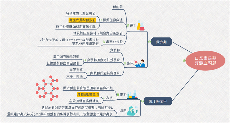 胰岛素思维导图