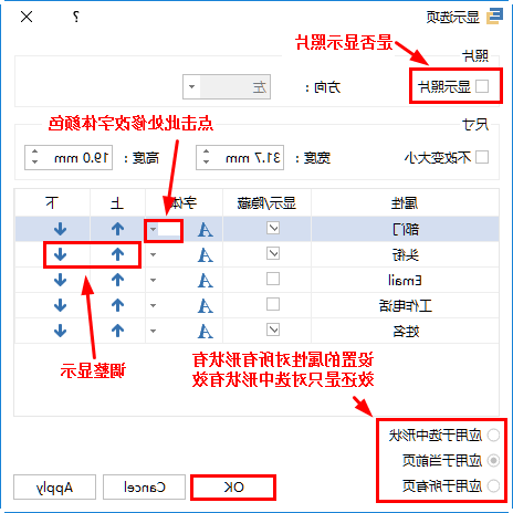 显示选项