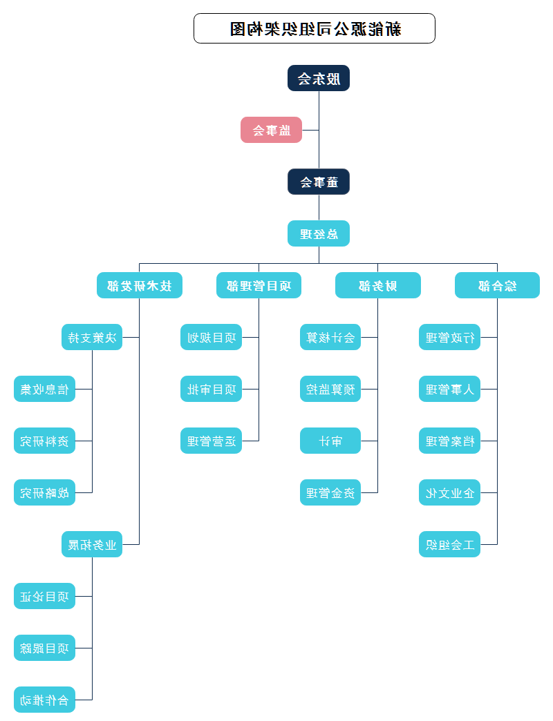 新能源公司组织架构图