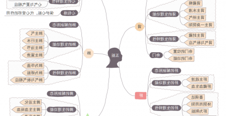 五脏思维导图